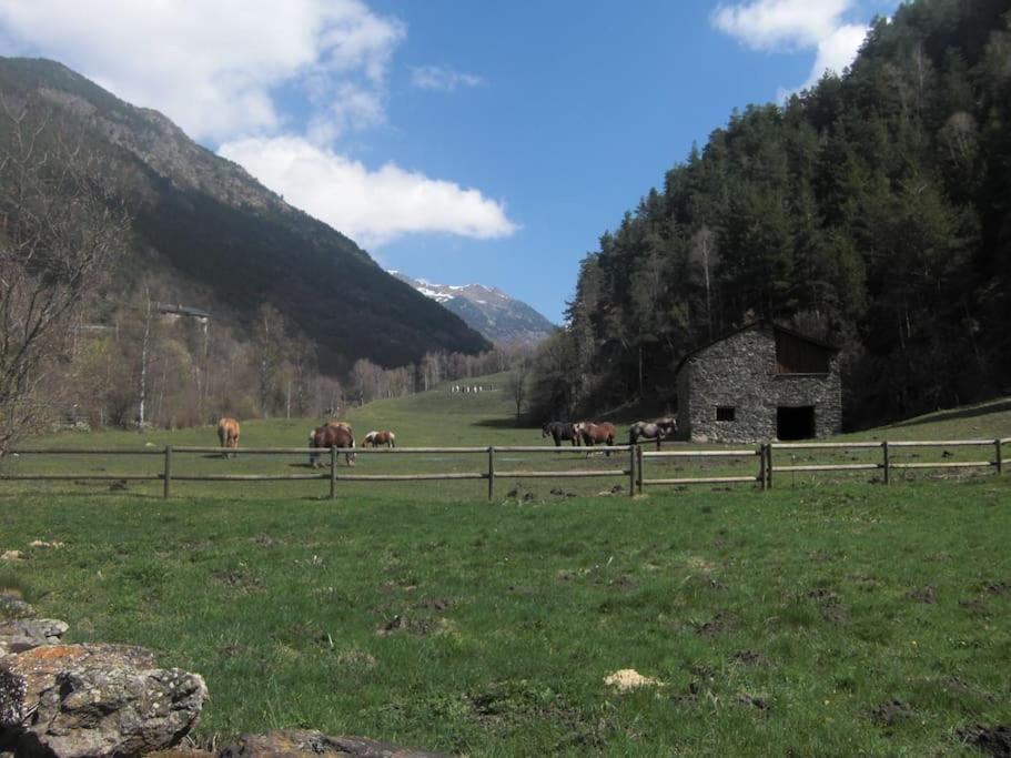 Apartament Gran Pirineu Montferrer Exterior photo
